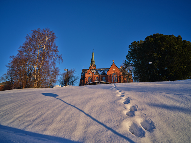 Laowa 19mm f2.8_13w.jpg