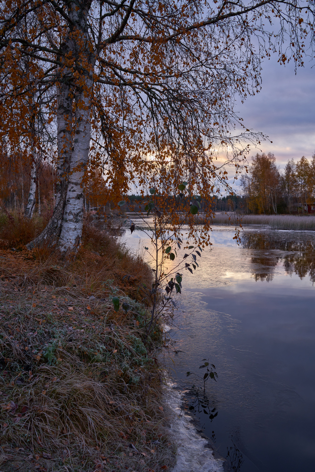 sony_fe_35_f1 8_3w.jpg