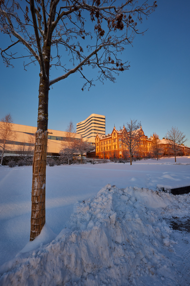 Canon RF 15-30_13w.jpg