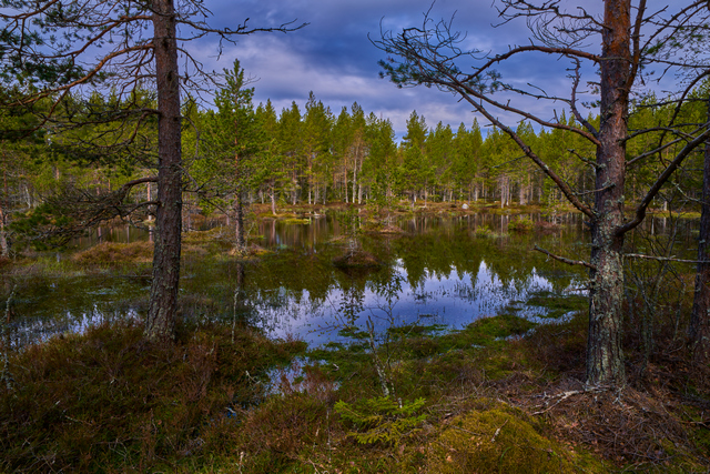 Samyang 24mm f1.8_6w.jpg