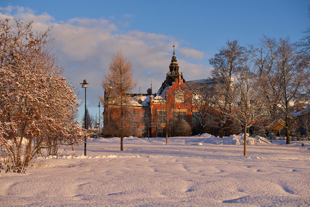 Sigma 60-600mm DN_17w.jpg