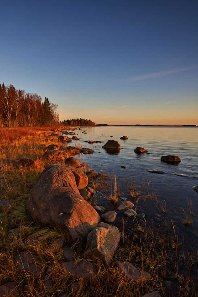 Sigma 20mm f1.4 DN_7w.jpg