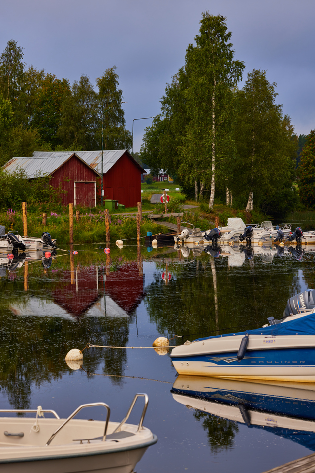 Canon RF 100 macro_19w.jpg