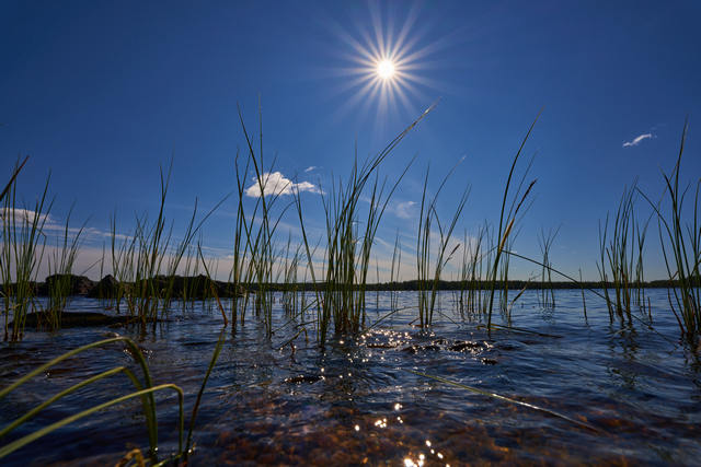 Sigma 16-28 f2.8_22w.jpg