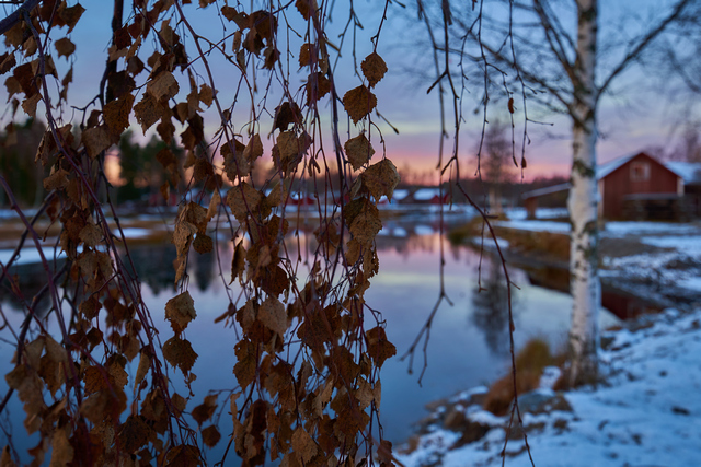 Sony 12-24 f2.8_2w.jpg