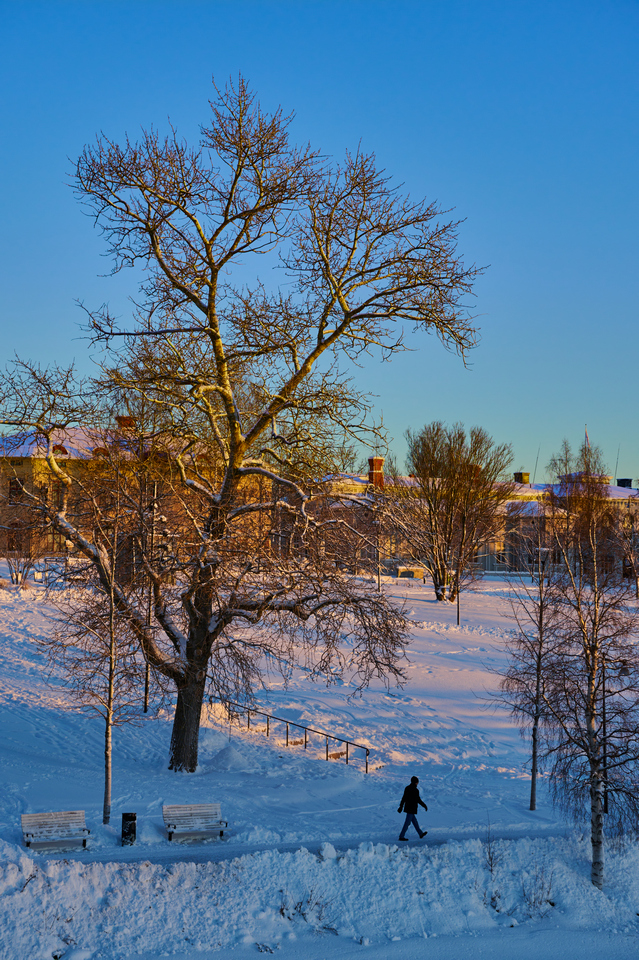 Nikon Z 18-140mm_21w.jpg