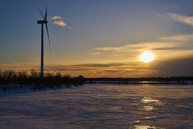 Sigma 50mm f1.4 DN_5w.jpg