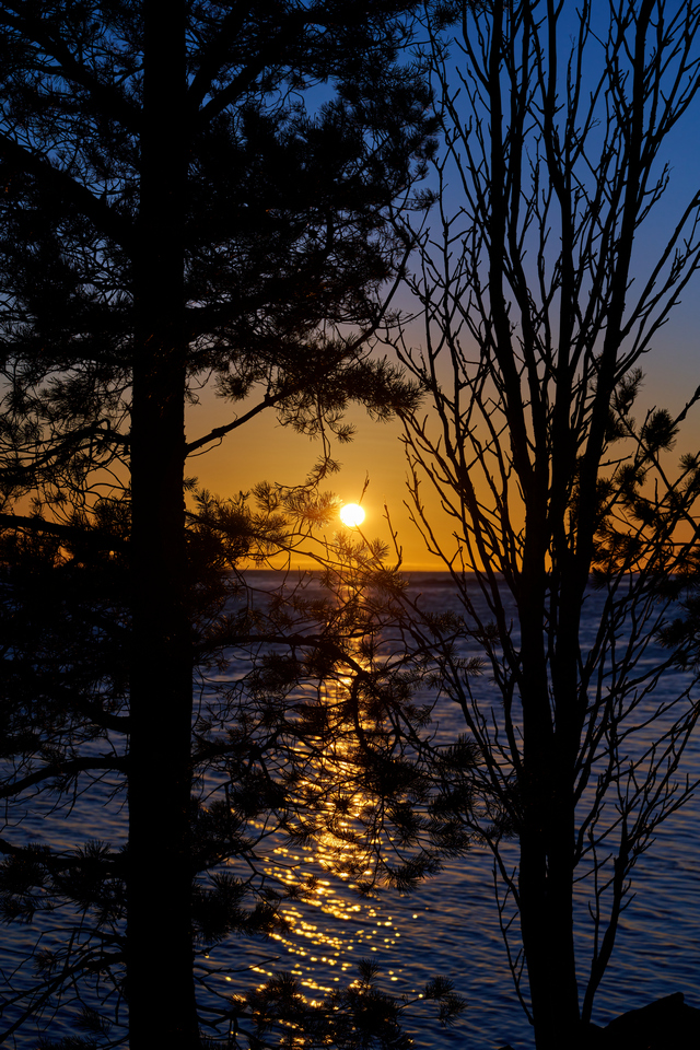 Nikon Z 28-75 f2.8_16w.jpg