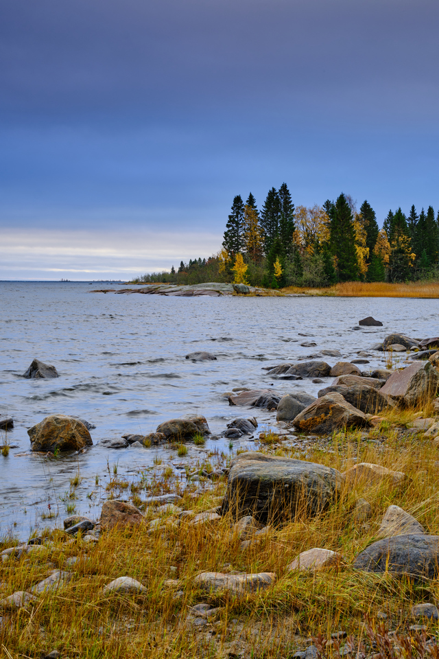 Fujifilm XF 33mm f1.4_27w.jpg