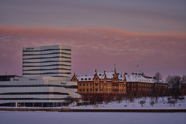 Sigma 105mm macro Sony_4w.jpg