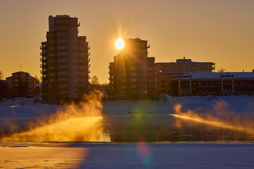 Canon RF 85 macro_18.jpg