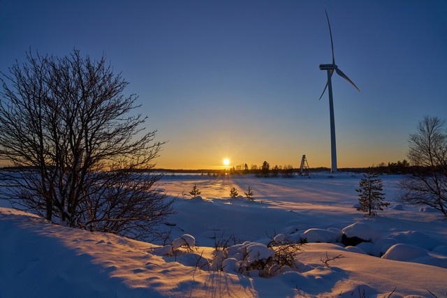 Sony FE 20-70mm f4_20w.jpg