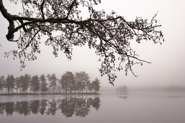 Samyang 50mm f1.4 II_8w.jpg