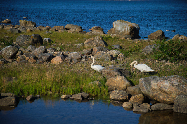 Tamron 17-70 f2.8 XF_12w.jpg