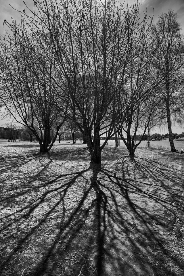 Sony FE 24-70 f2.8 GM II_23w.jpg