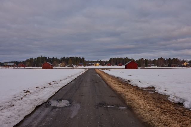 Canon RF 24-50mm_5w.jpg