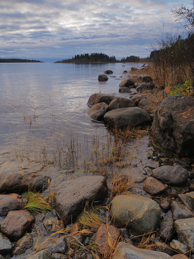 Om System OM5_15w.jpg