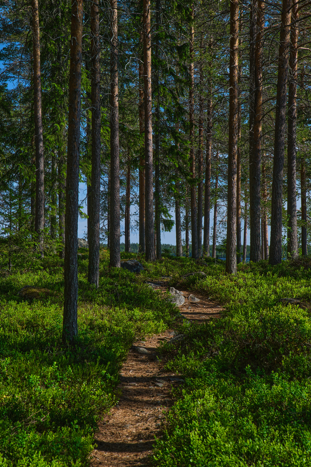 Tamron 17-70 f2.8 XF_24w.jpg