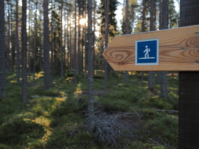 Om System OM5_8w.jpg