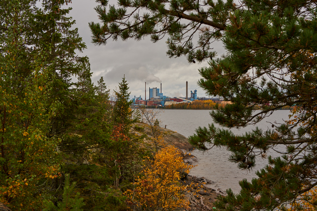 Tamron 50-400mm_7w.jpg