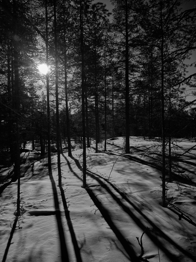 Fujifilm GF 30mm f3.5_10w.jpg