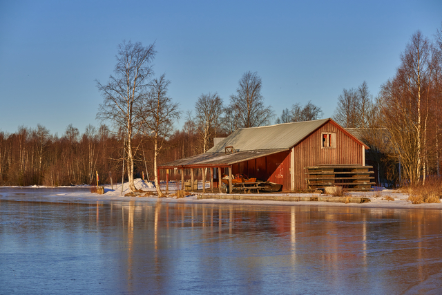 laowa 65 f2,8 macro_26w.jpg