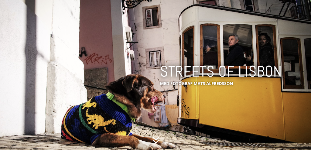 Skärmavbild 2021-04-30 kl. 13.11.18.png