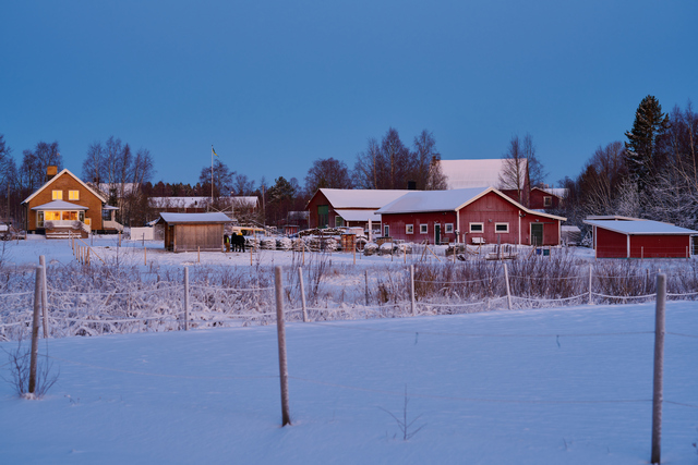 Nikon Z 85 1.8_25w.jpg