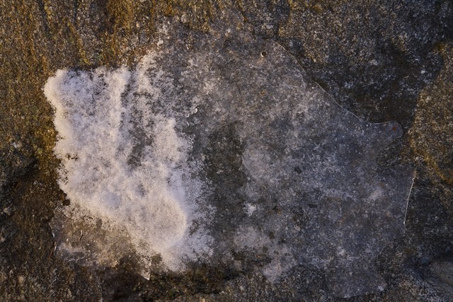 Sigma 50mm f1.4 DN_27w.jpg