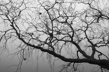 Tamron 28-75mm G2 So_blogg1.jpg