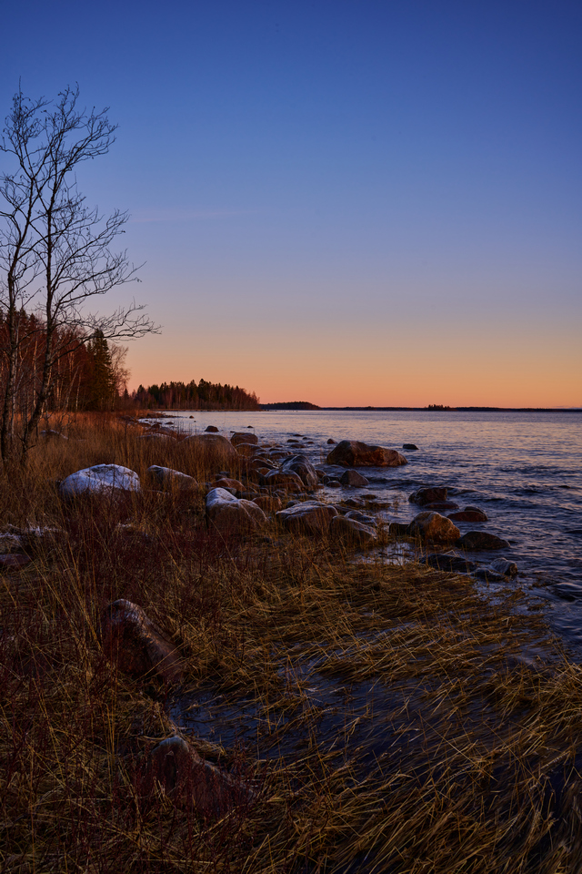 Nikon Z 28mm f2.8_12w.jpg