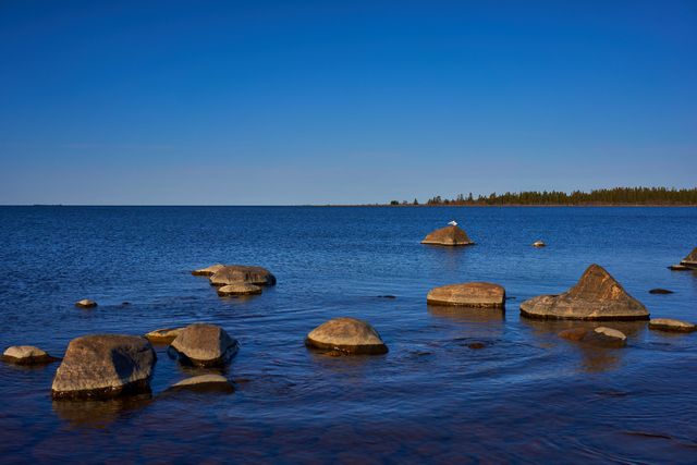 Sony 40mm f2.5_7w.jpg