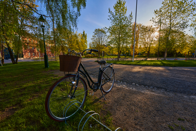 Sony 14mm f1.8_2w.jpg