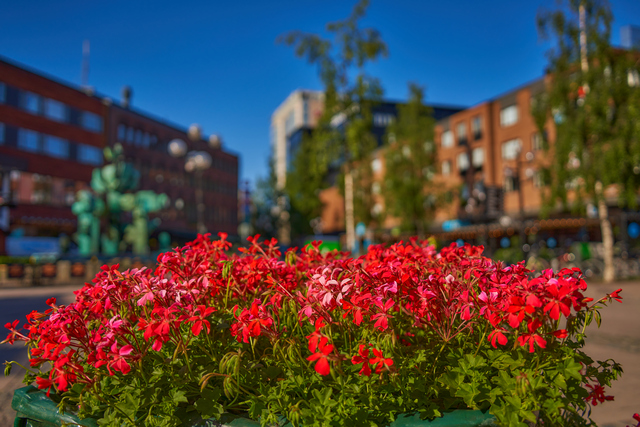 Tamron 28-200 sony_22w.jpg