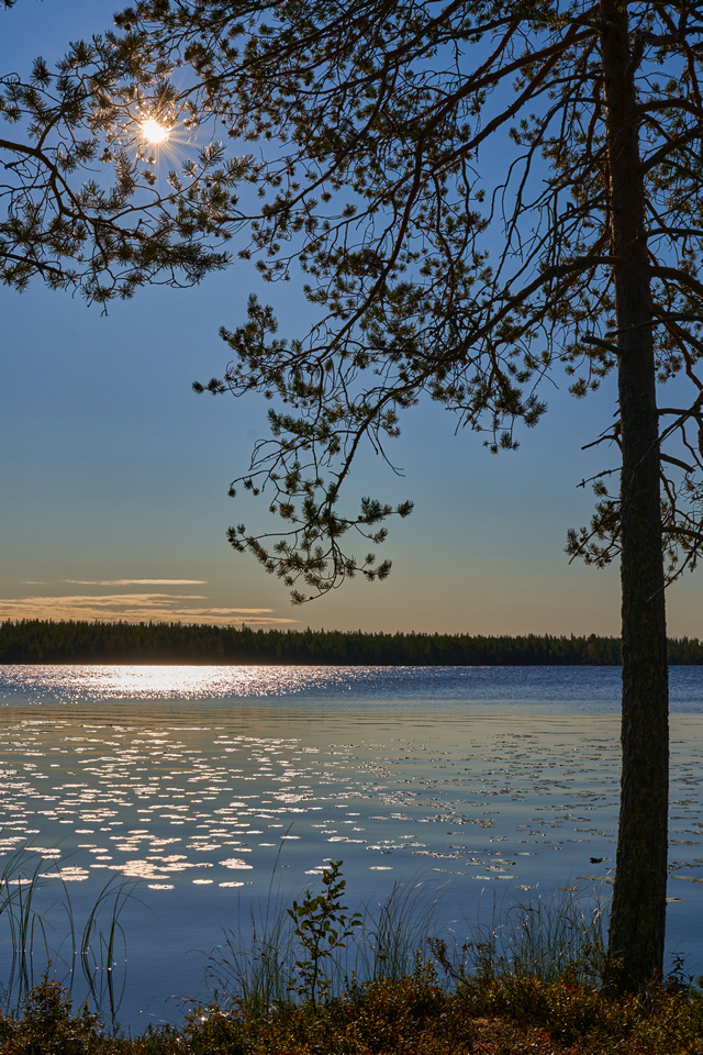 Laowa 33mm Argus_11w.jpg