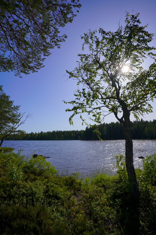 tamron_17 28mm_25w.jpg