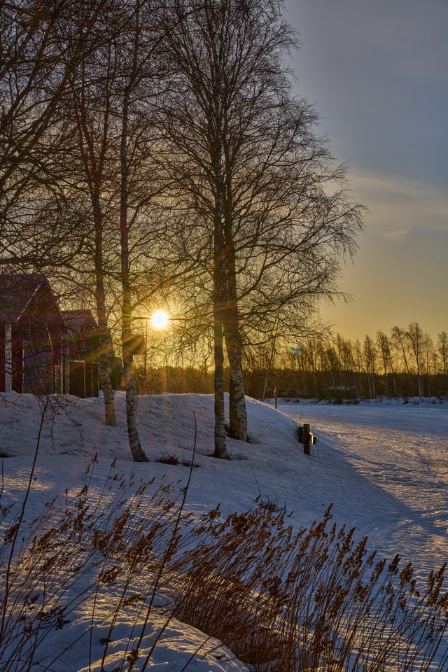 Sigma 50mm f1.4 DN_18w.jpg