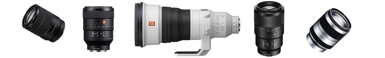 Sony lens.jpg