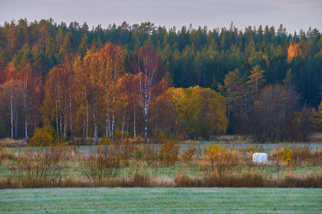 Tamron 18-300 Sony E_18w.jpg