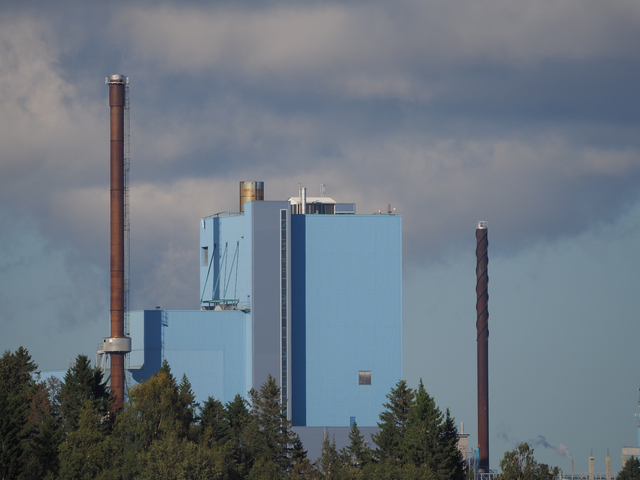 Olympus 100-400_14w.jpg