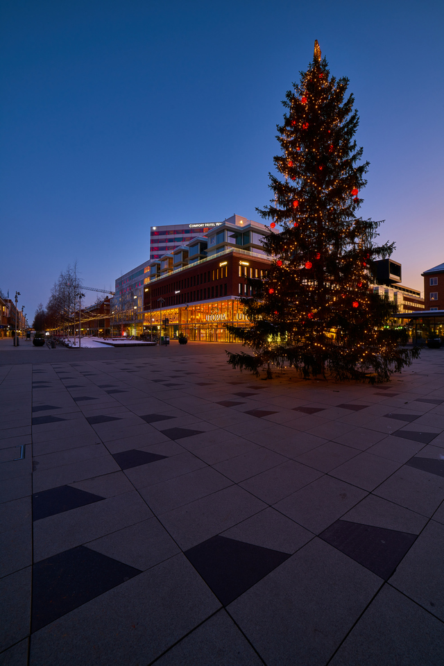 Samyang 14mm Sony_13w.jpg