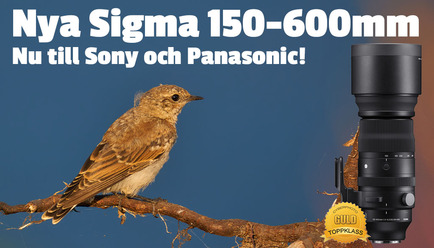 sigma150600_blogg kopiera.jpg