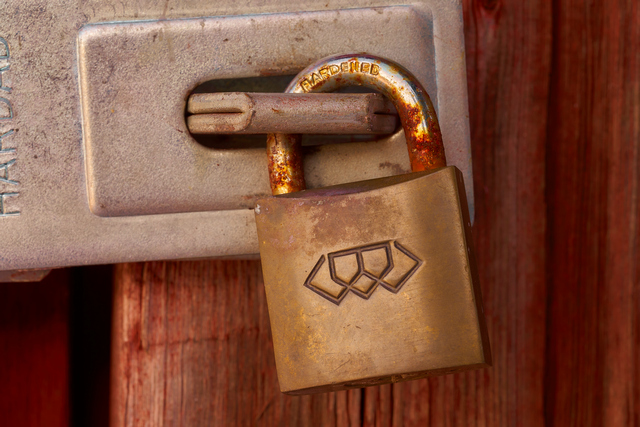 laowa 65 f2,8 macro_35w.jpg