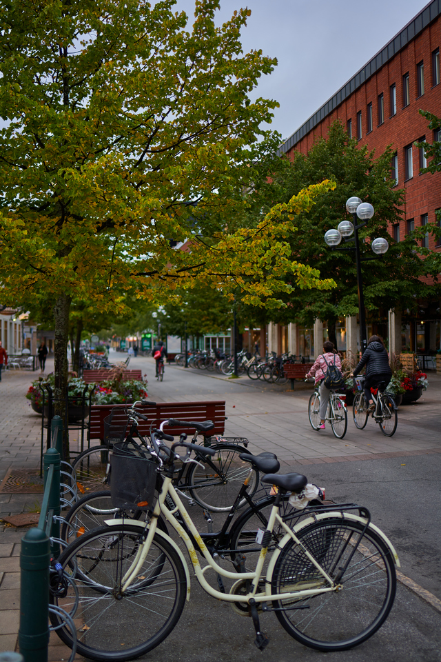 Samyang 35mm f1.8_20w.jpg