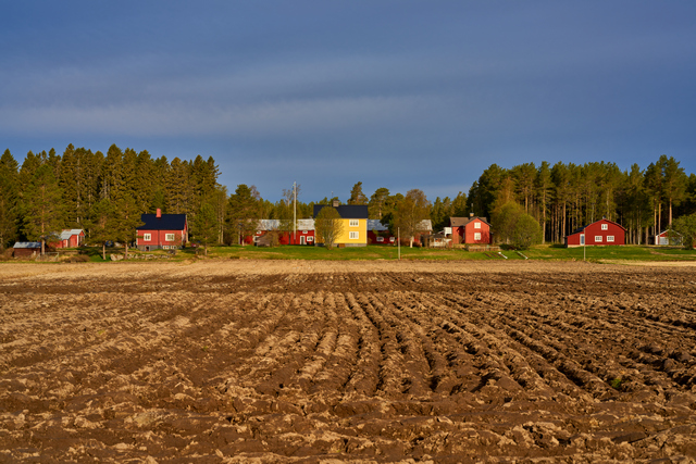 Samyang 75mm f1,8_3w.jpg