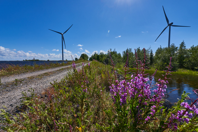 Sony E 10-20mm f4_12w.jpg