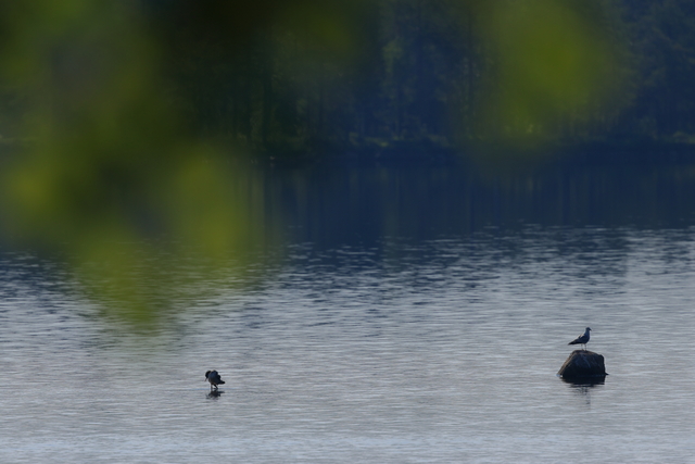 Canon EOS R7_20w.jpg