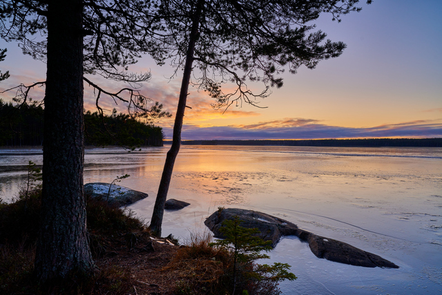 Nikon Z24_1.8S_8w.jpg