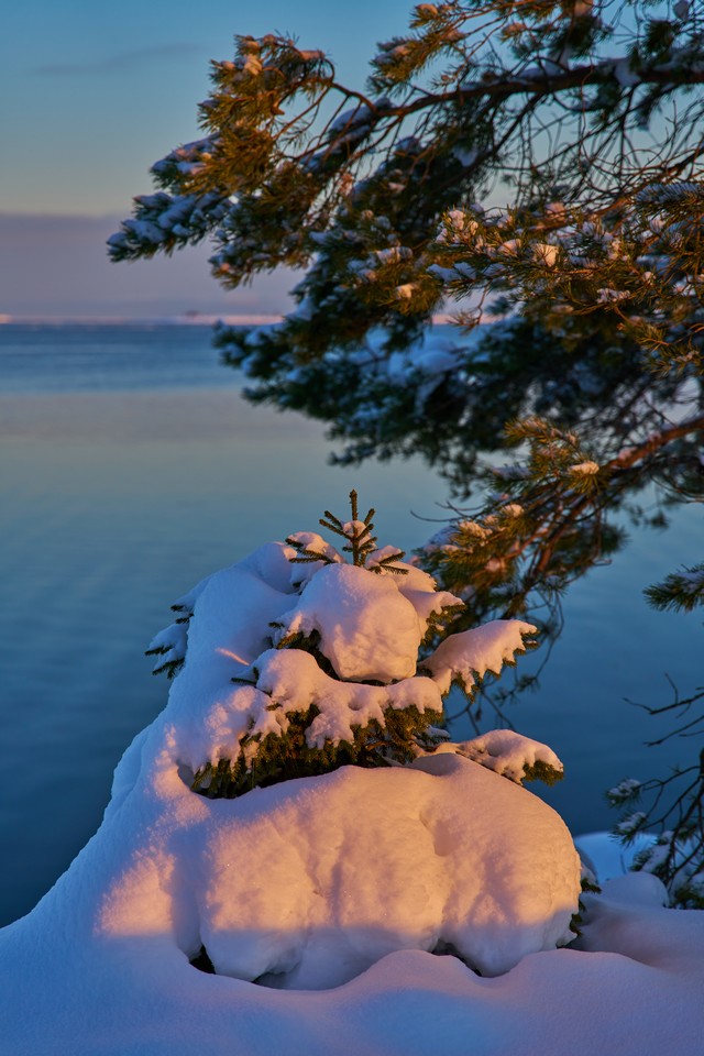 Sony FE 20-70mm f4_24w.jpg