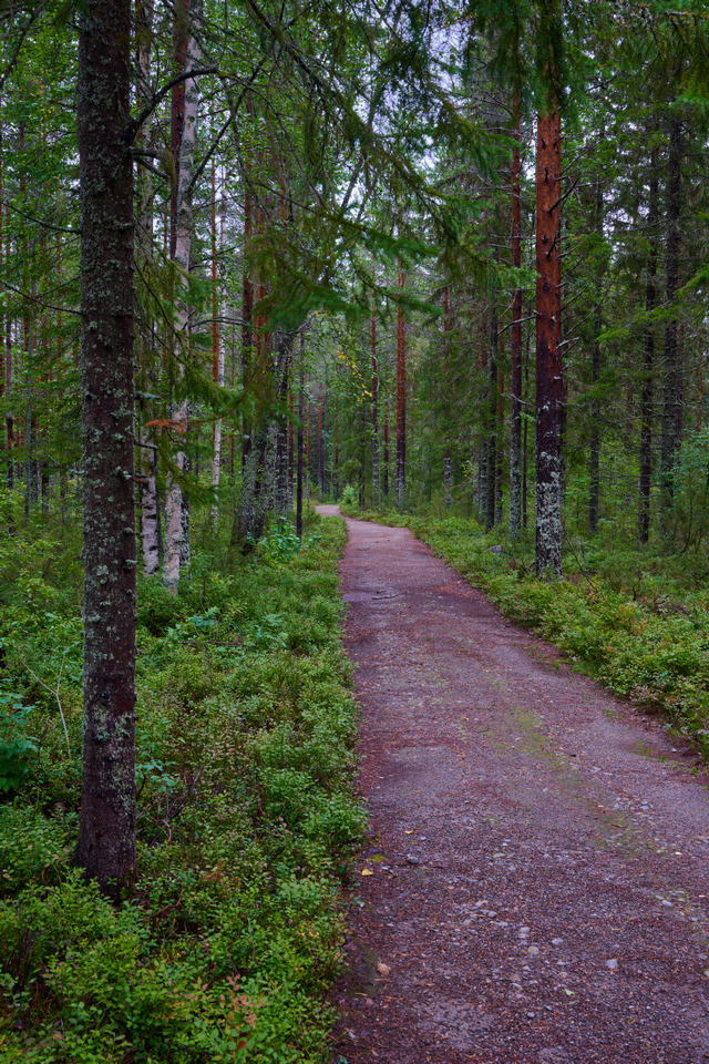 Nikon Z 24-50_3w.jpg